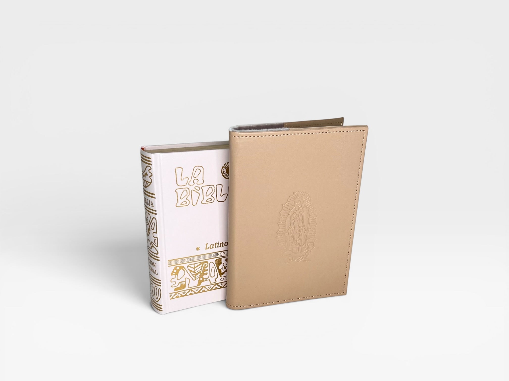 BIBLIA CON FORRO DE PIEL